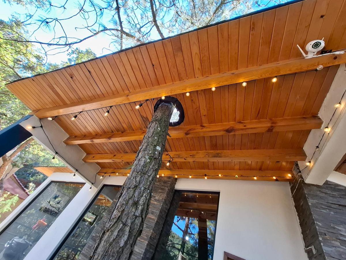 Cabaña "Alexa", en el corazón del bosque de Mazamitla - Housity