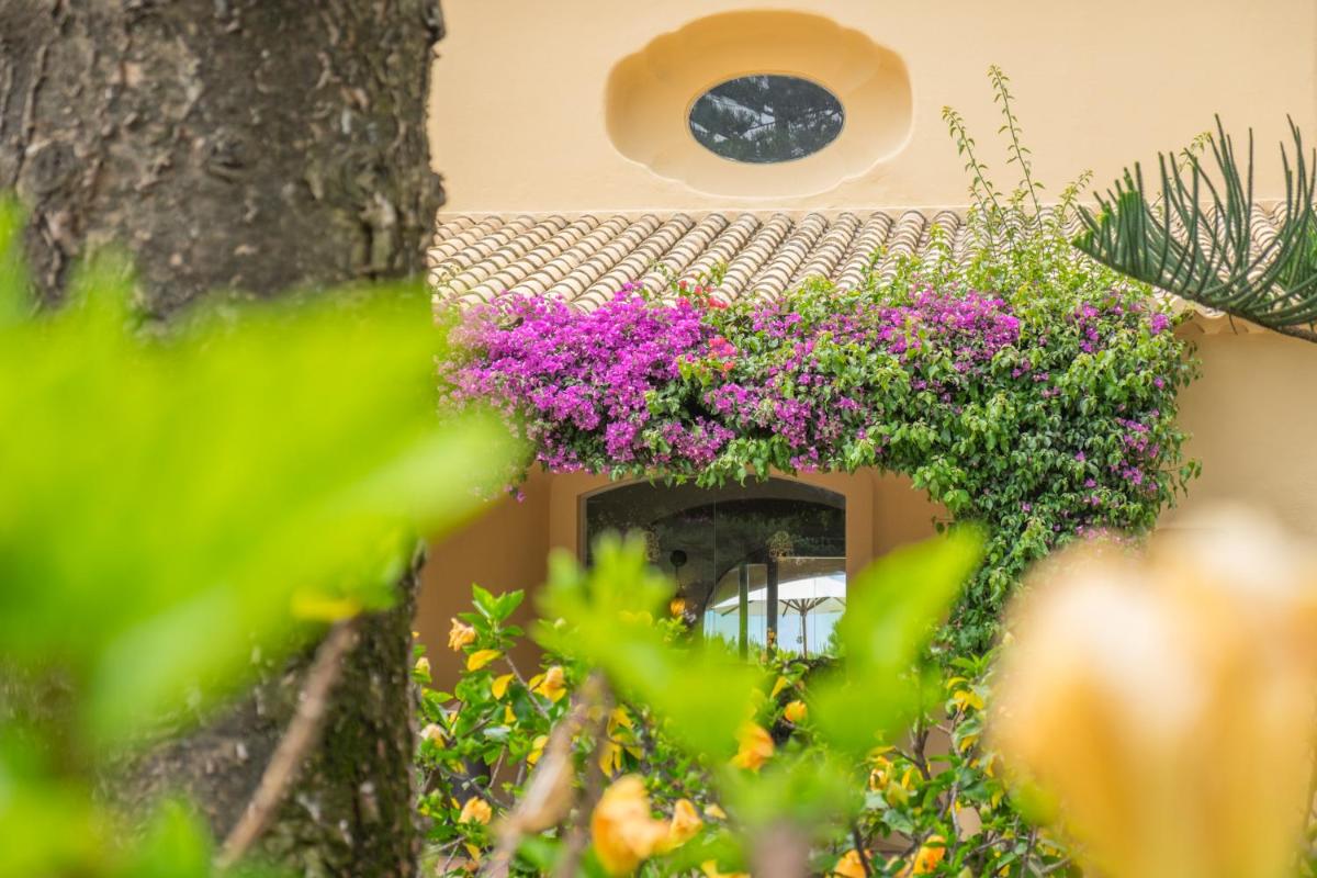 Um jardim no exterior de Vila Joya