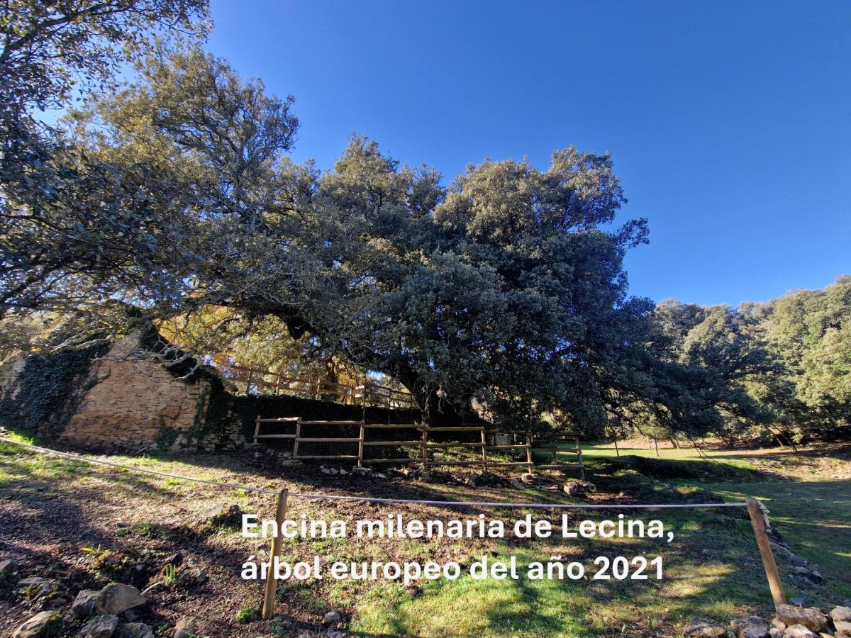 Casa Rural La Choca - Housity