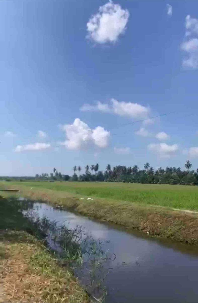 Hijrah De La Villa Parit Buntar Nibong Tebal Penang - Housity