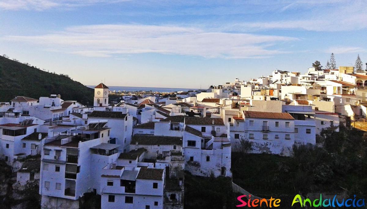 Casa Lareymora - Housity