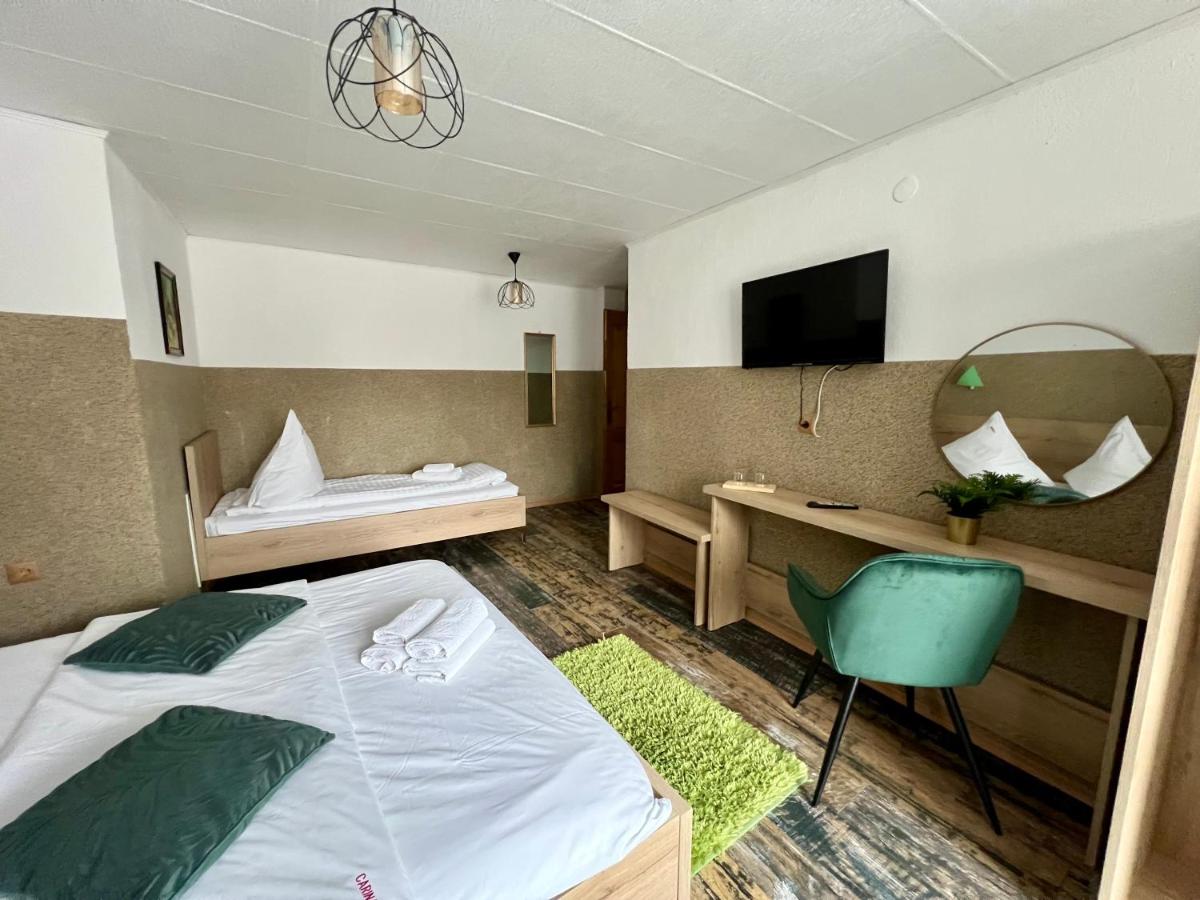 Pensiunea Carina - Housity