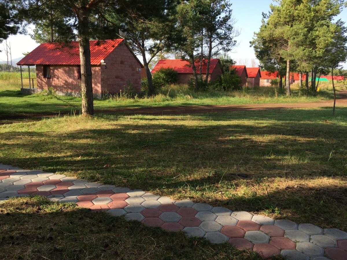 Lavanda City 3-1 - Housity