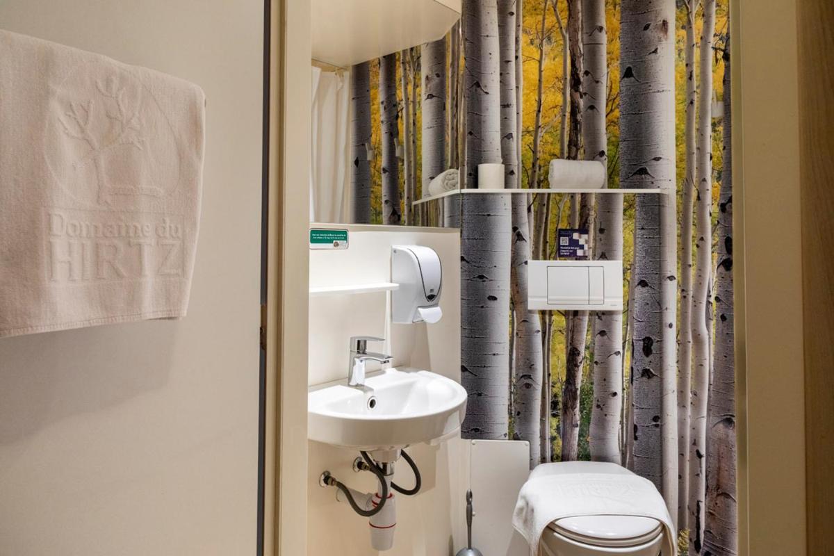 Salle de bains dans l'établissement Domaine du Hirtz, Restaurant & Spa