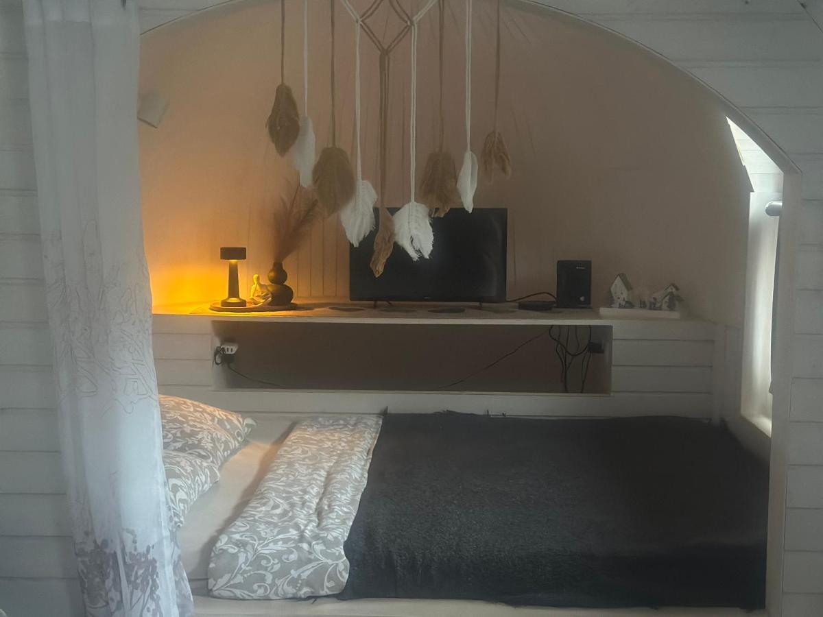 Kuldallika igloo house and iglusauna - Housity