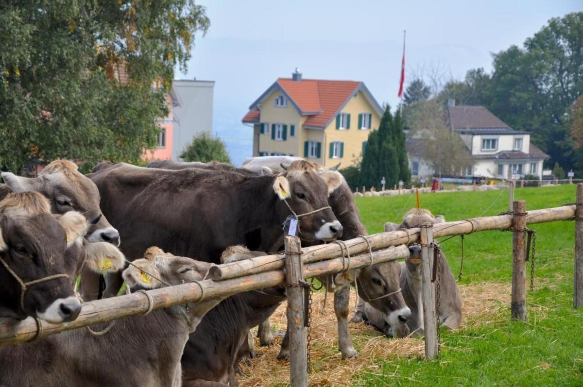 Ferienwohnung Rätia mit Bodenseeblick - Housity