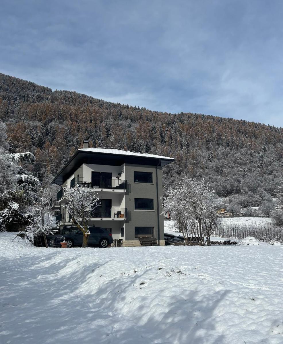 Alp House Dolomiti - Housity