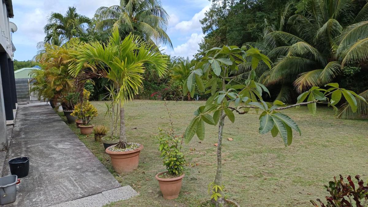 JONA APT - Housity