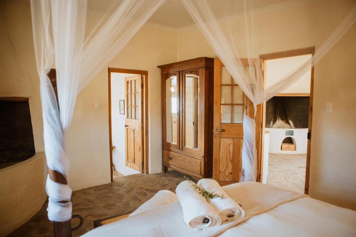 Wild Olive Cottage - Housity