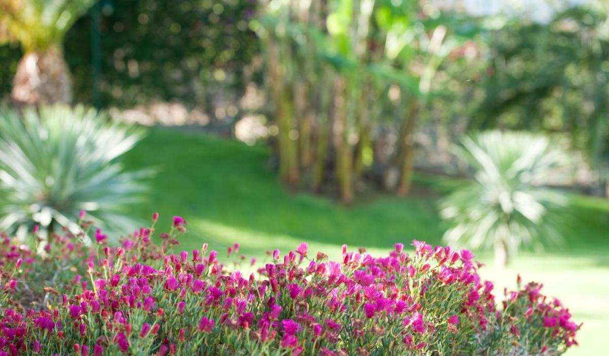 Um jardim no exterior de Madeira Panorâmico Hotel