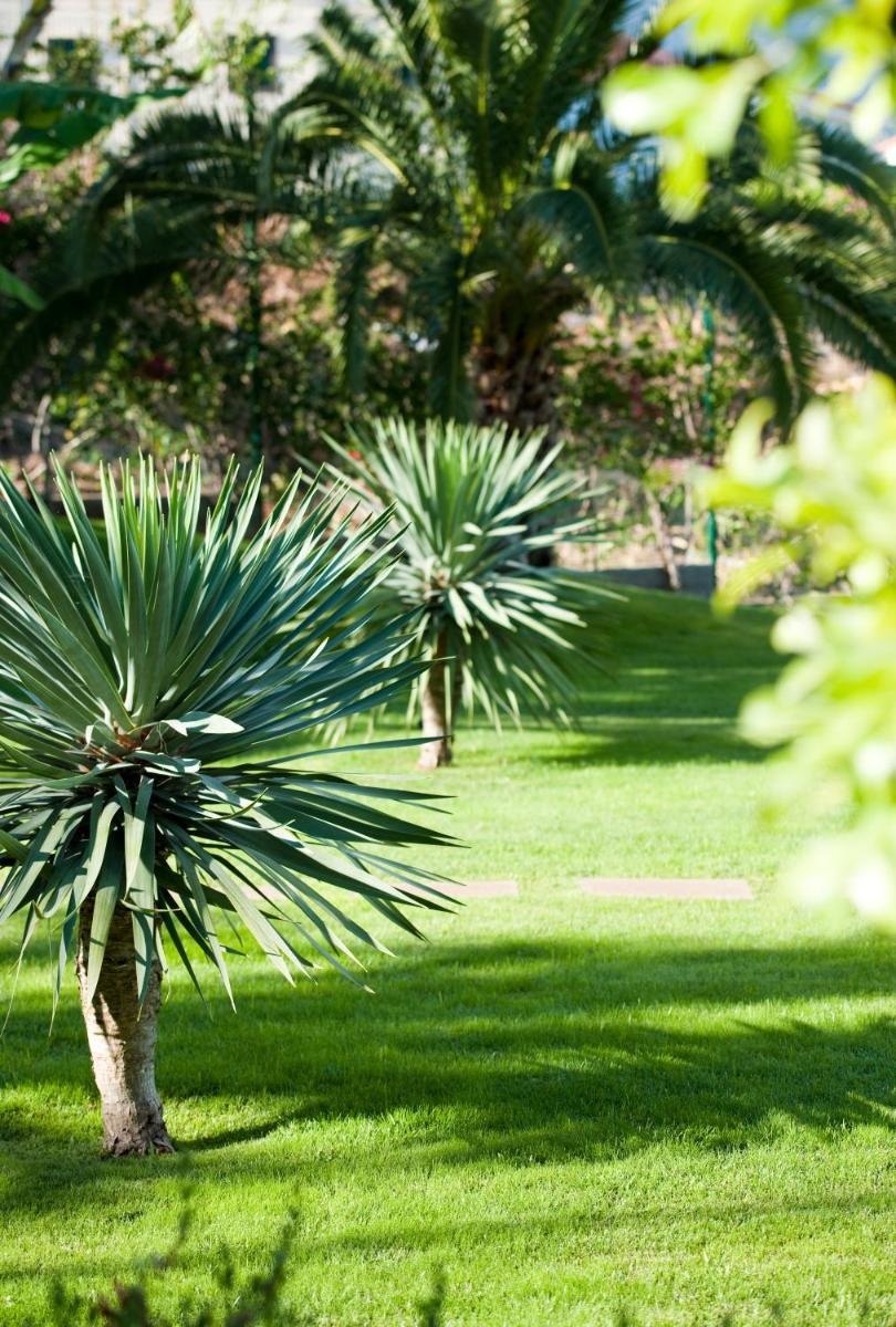 Um jardim no exterior de Madeira Panorâmico Hotel