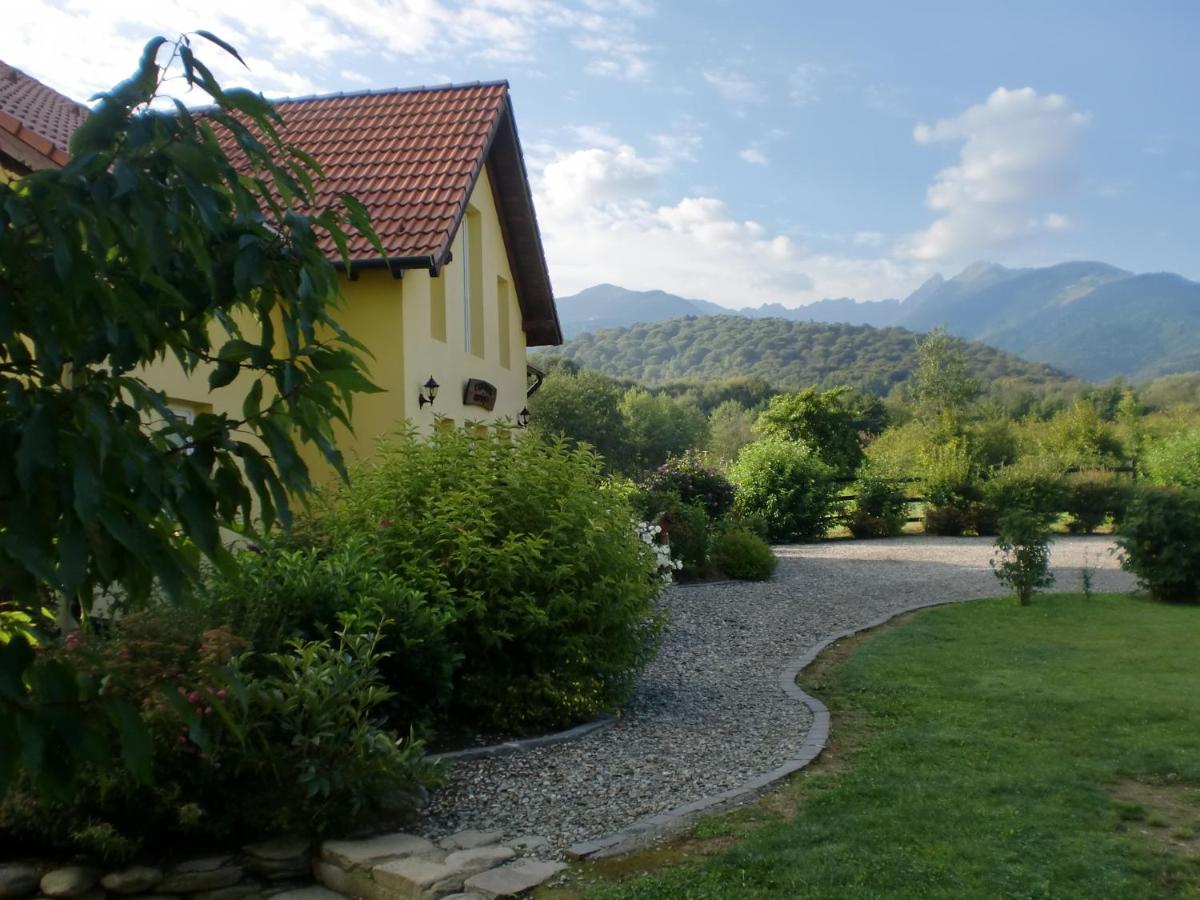 Pensiunea Arpasel - Housity