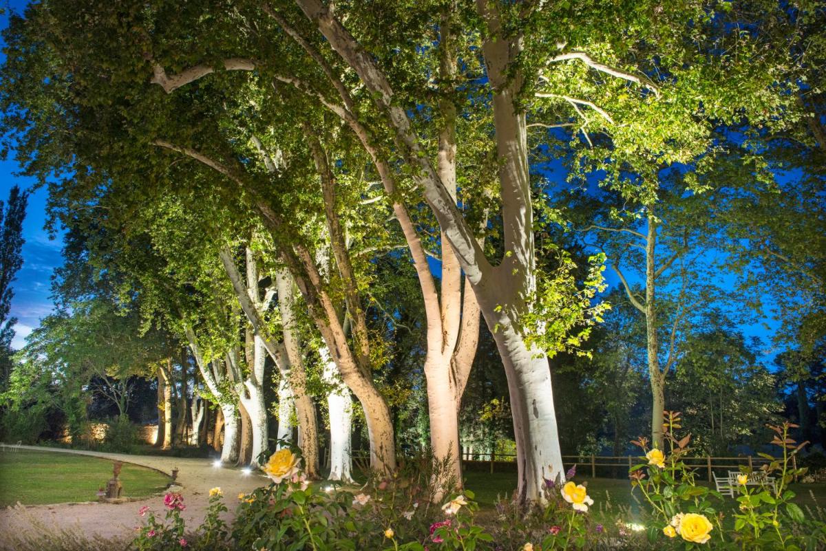 Jardin de l'établissement Château De Massillan