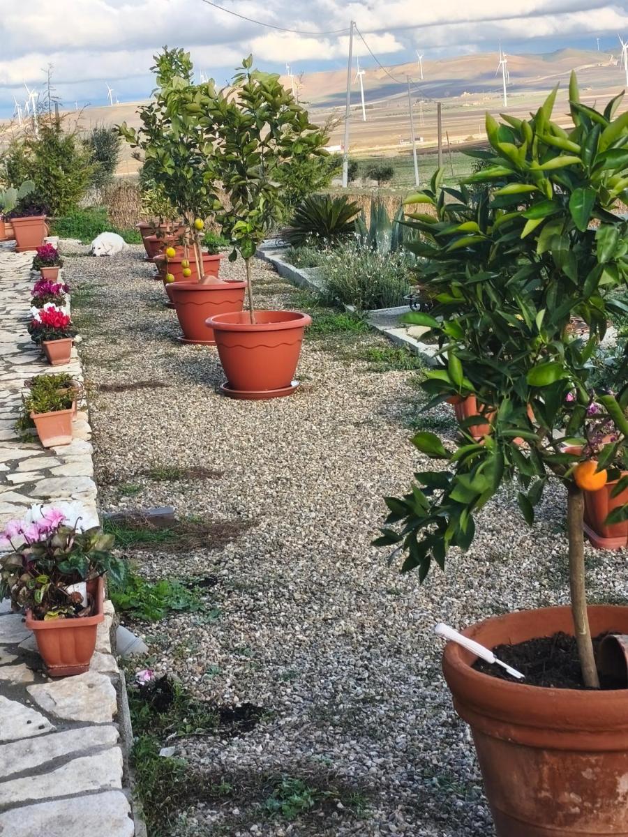 Antica Masseria Il Casone - Housity