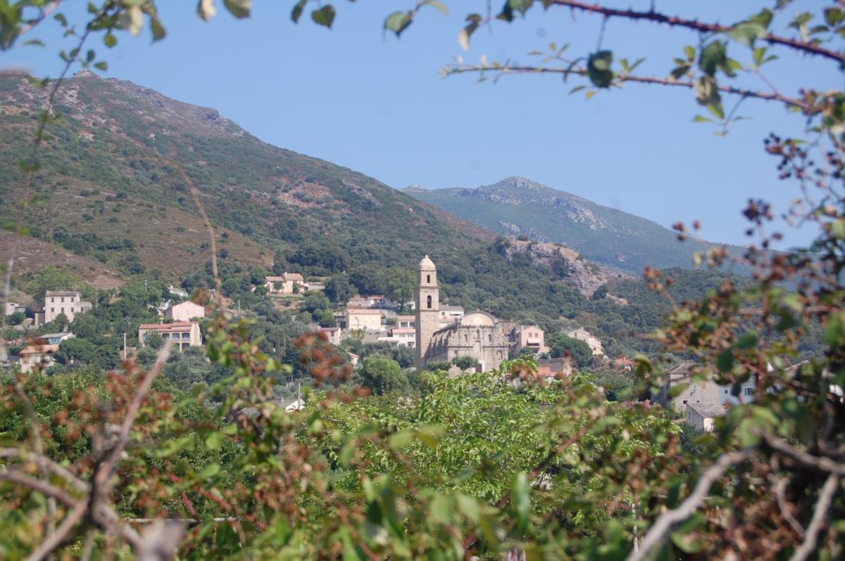Villa Aghjanella - Housity