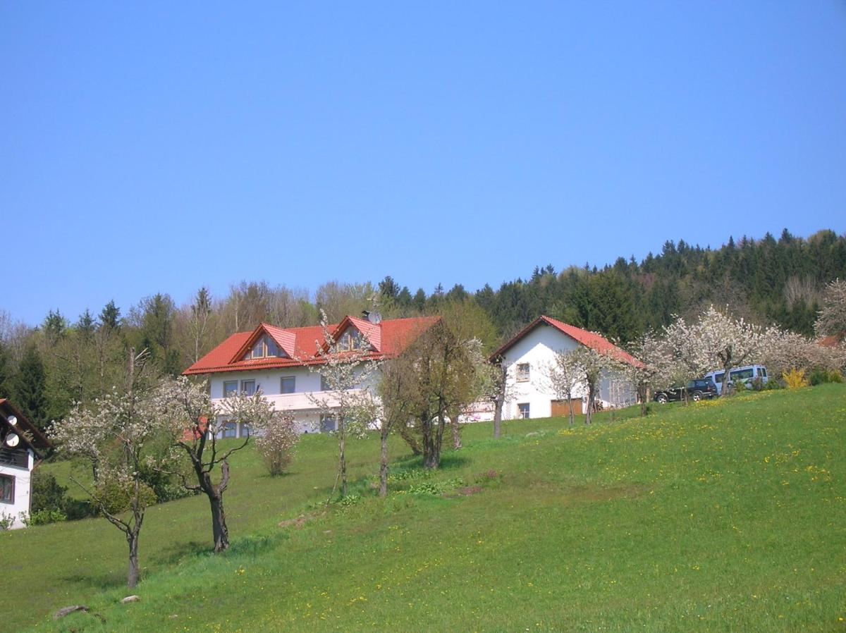 Ferienwohnung Zur schönen Aussicht - Housity