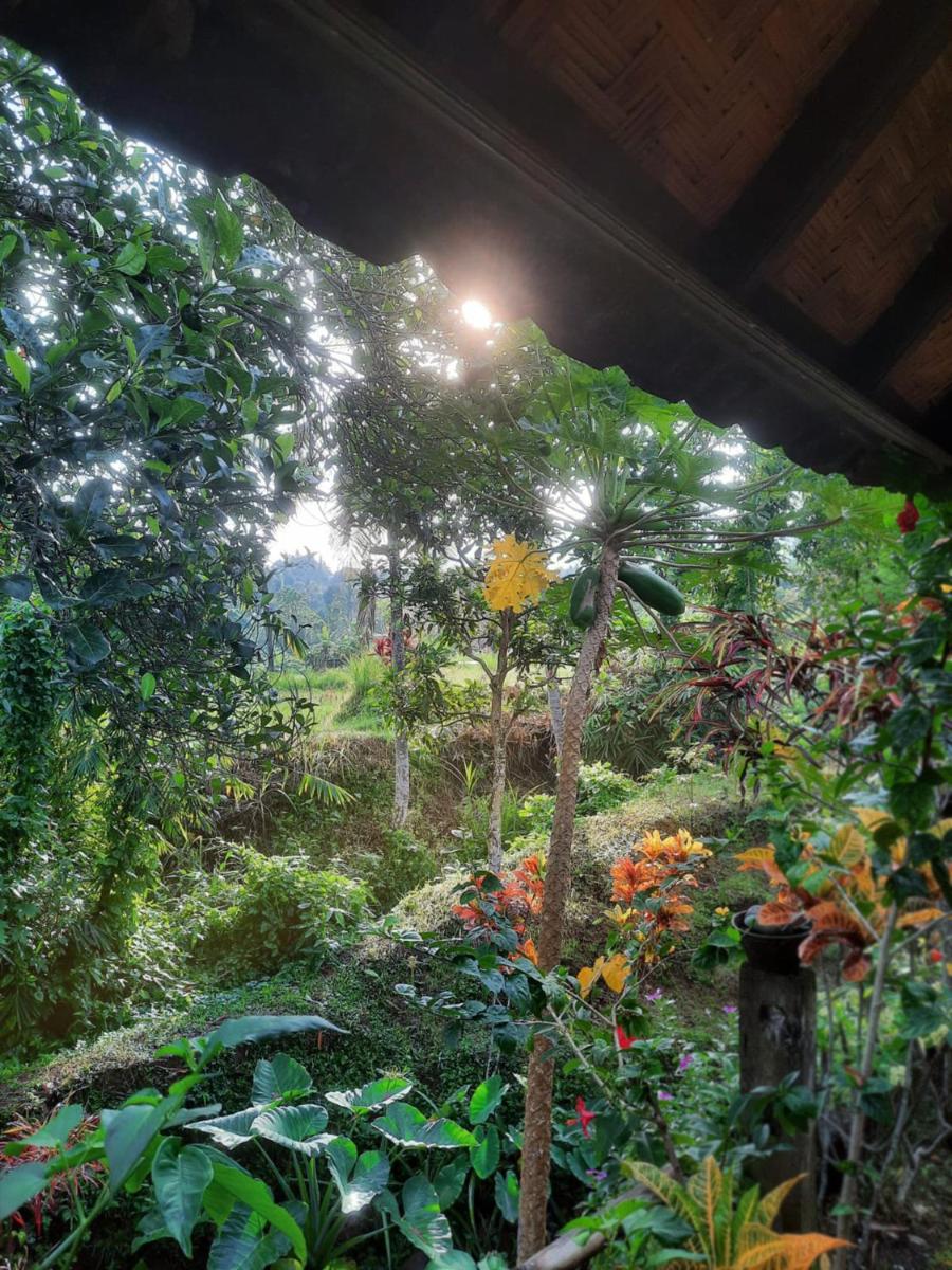 Natha House - Riverside Homestay in Buleleng - Housity