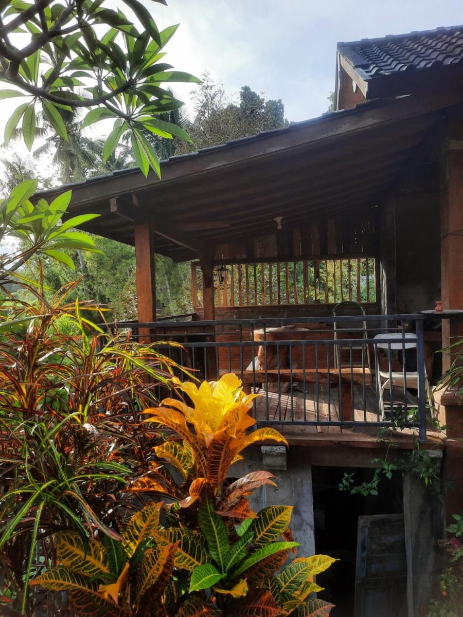 Natha House - Riverside Homestay in Buleleng - Housity