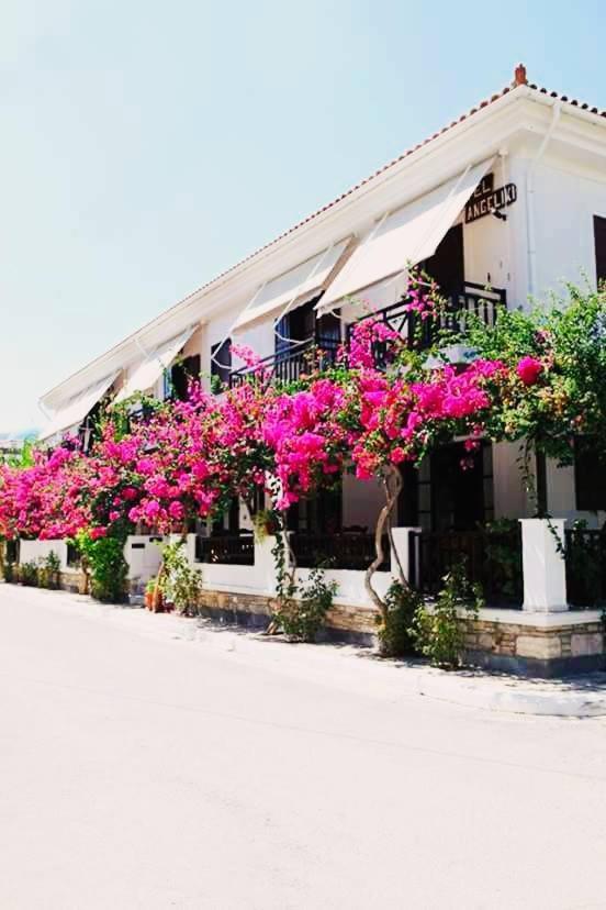 Hotel Angeliki - Housity