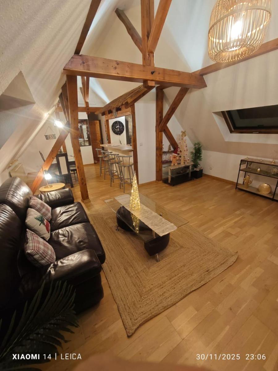 appartement tropical Erstein - Housity