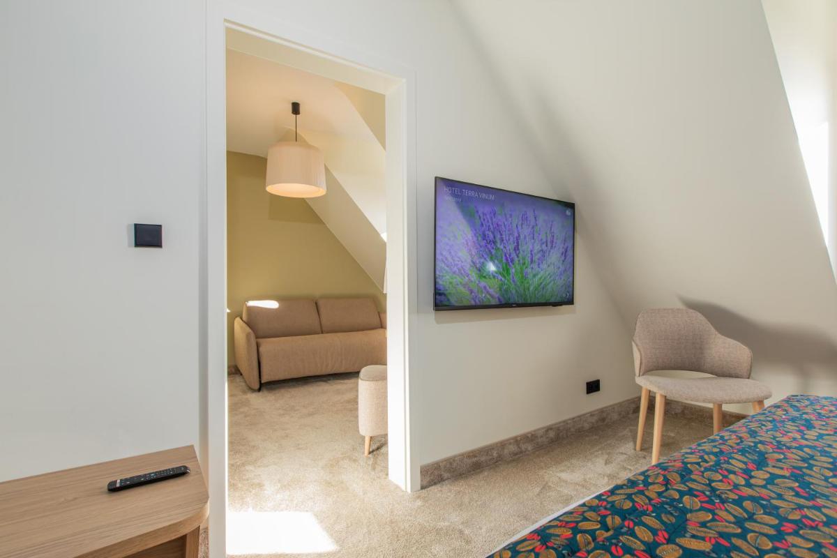 Télévision ou salle de divertissement dans l'établissement Hôtel Terra Vinum