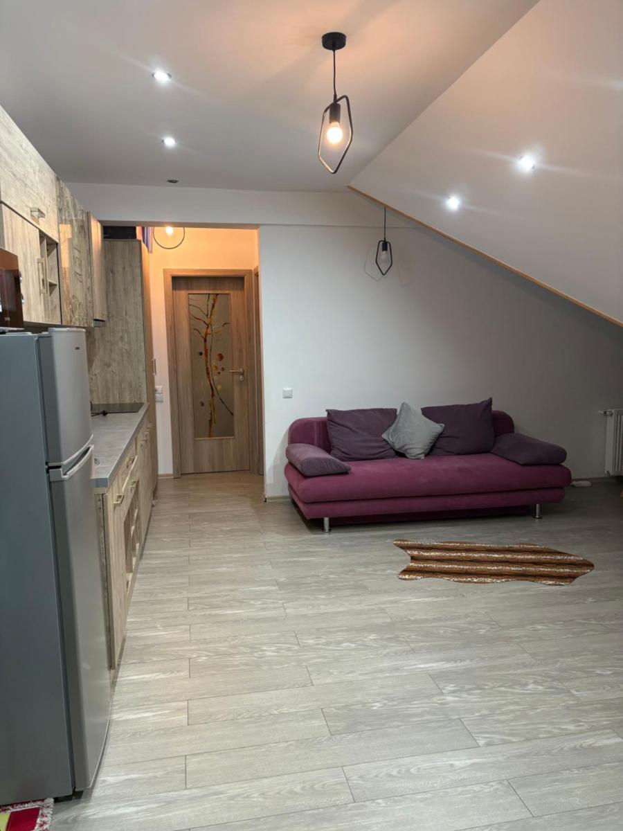 Apartament Andy Busteni 30 m de partie - Housity