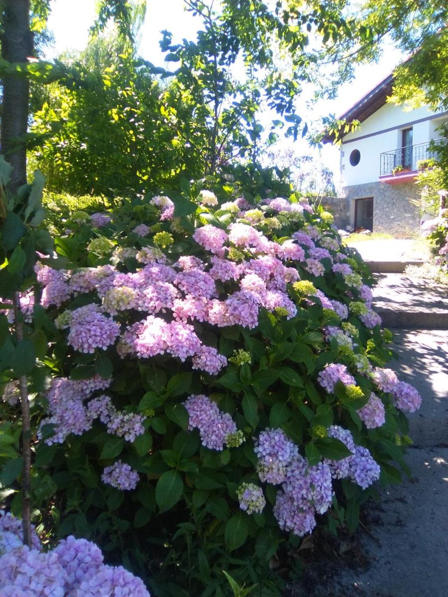 Mote Cottage - Housity
