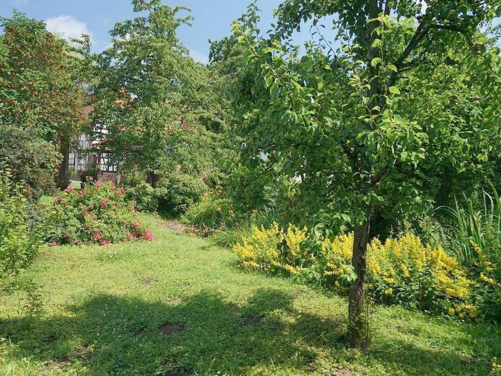 "Unnedrin" im Gästehaus Martinshof - Housity