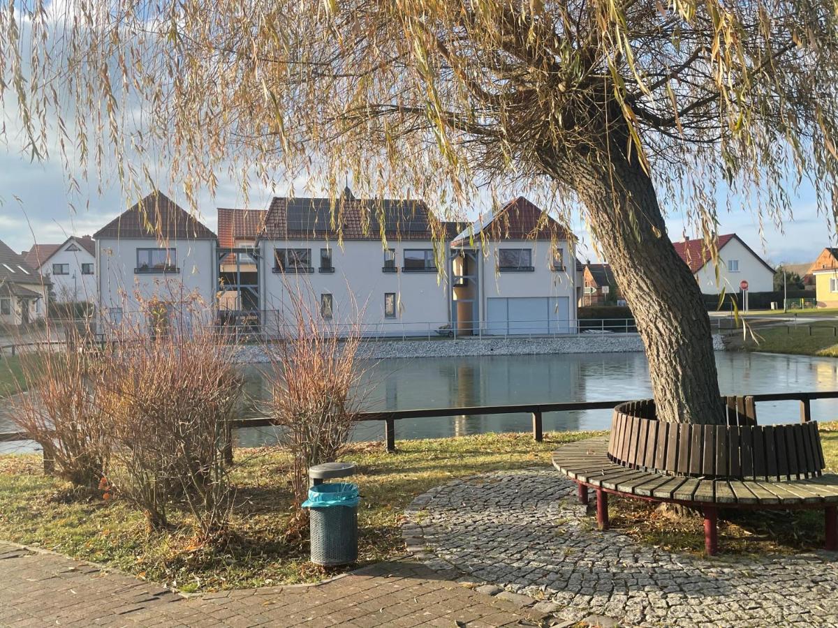 Krug zum Schlaubetal - Housity