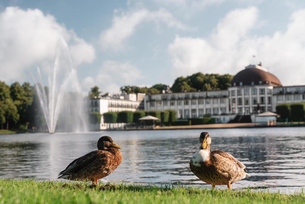 Tiere im Hotel oder in der Nähe