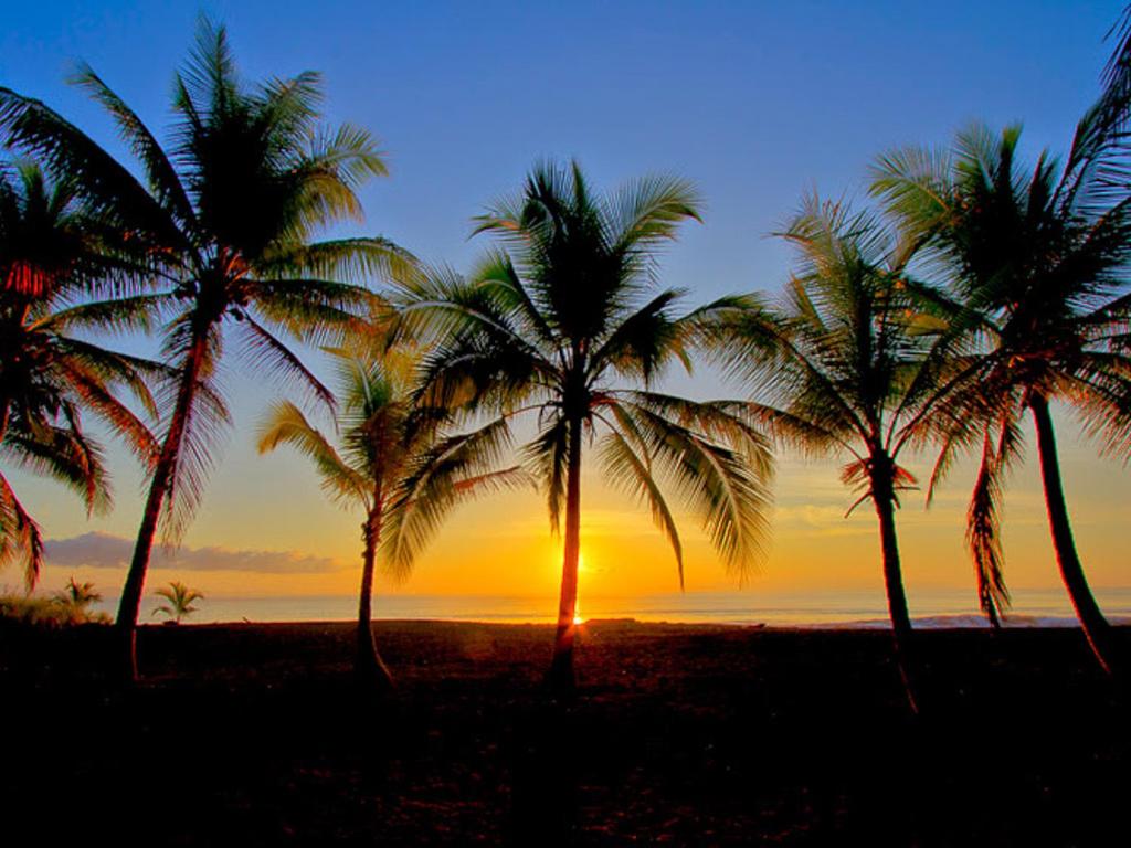 Suitetrails - Iguana Lodge Beach Resort and Spa