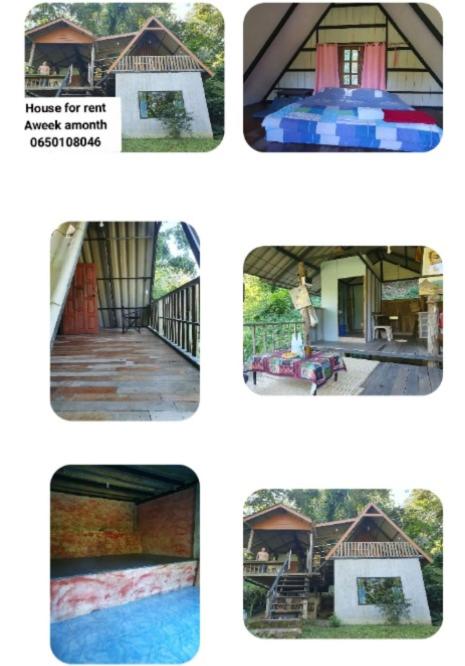 Thong Family Homestay Chiangdao - Housity