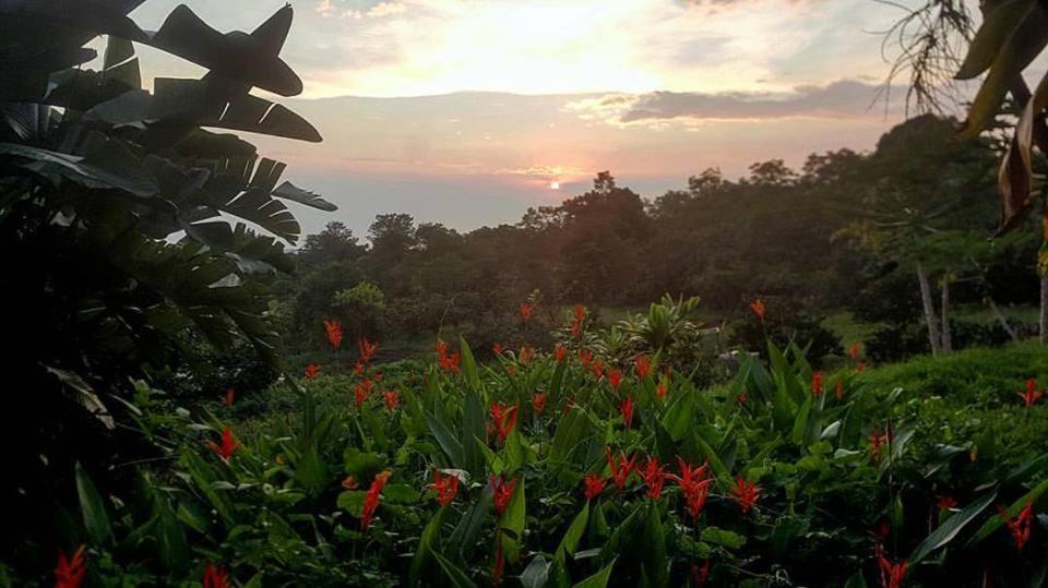Hale Hualalai - Housity
