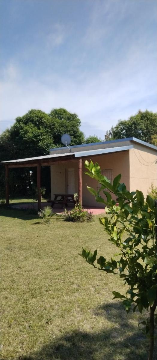 La lechuza - Housity