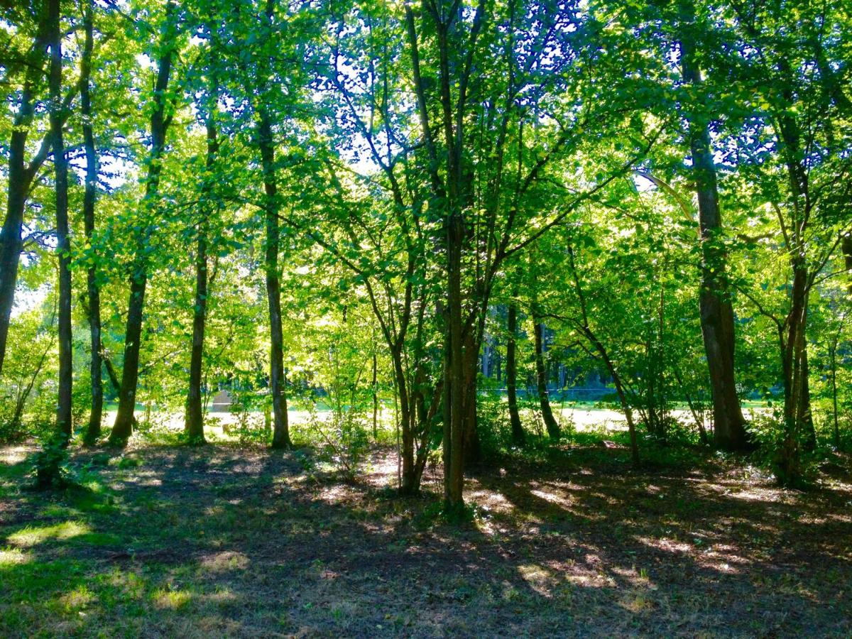 Chalet Clarimaud - Housity
