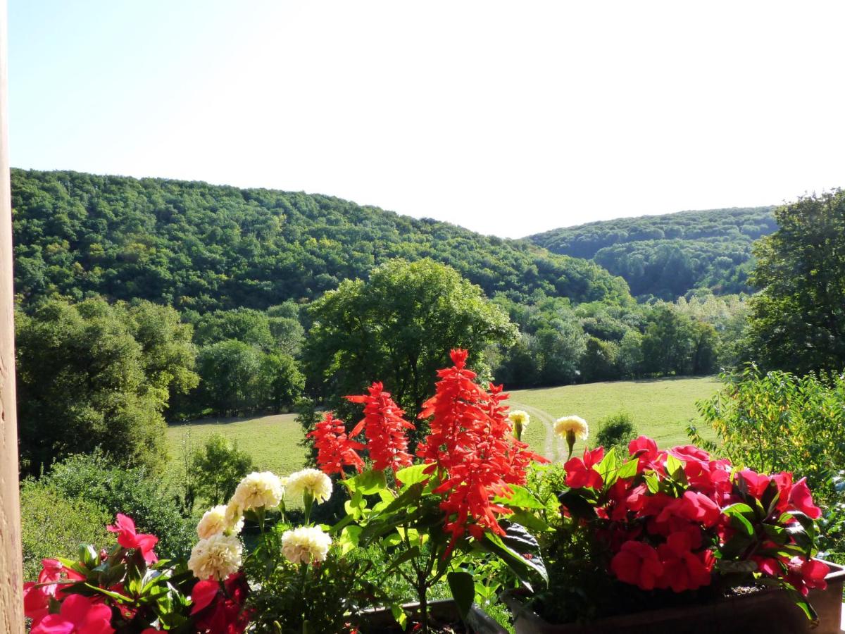 La Maison de Cure - Housity