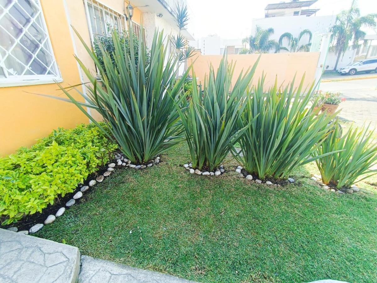 Casa en fraccionamiento en Ahuatepec con alberca, cancha y cerca de Tepoztlán - Housity