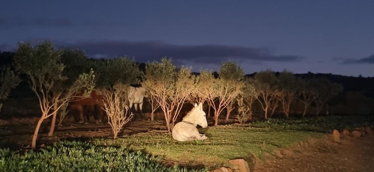 Rooilande Guest Farm - Housity