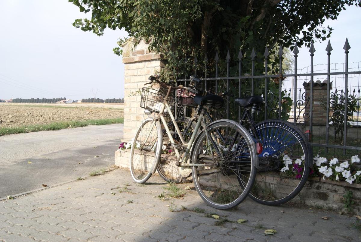 Antico Pioppo - Housity