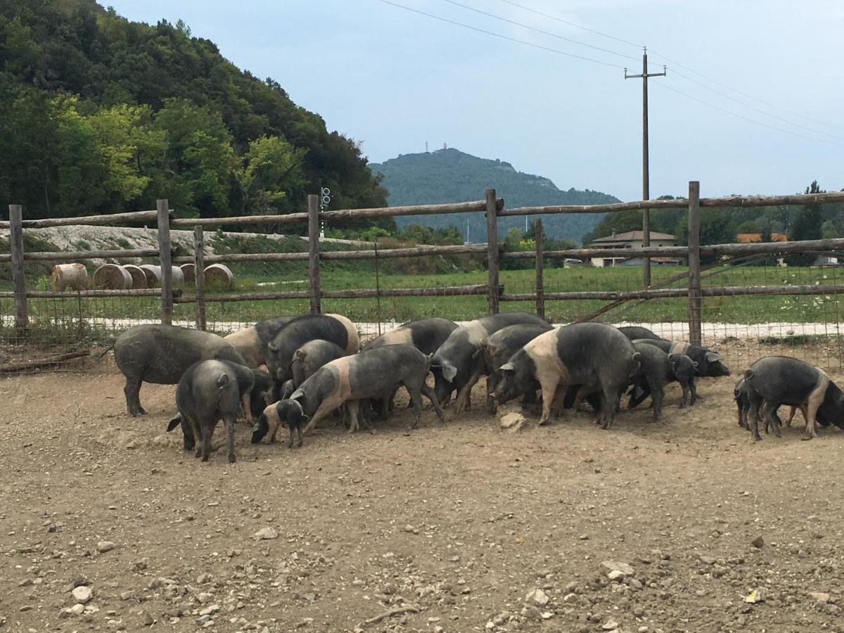 L' Antico Casale - Housity