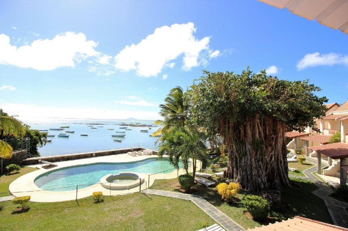 Villas Banyan - Housity