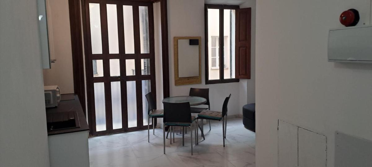 City Haven Palma - Hizvo
