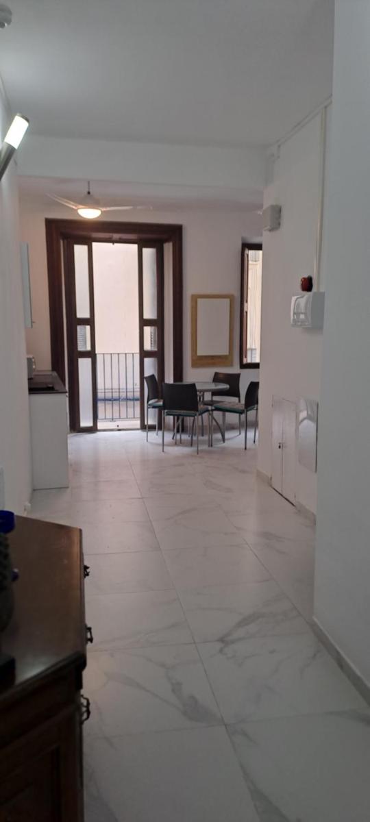 City Haven Palma - Hizvo
