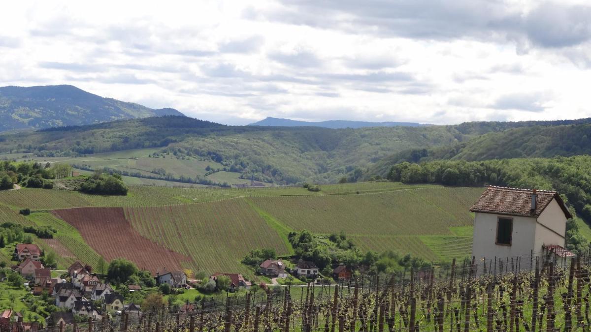 Le temps des cigognes - Housity