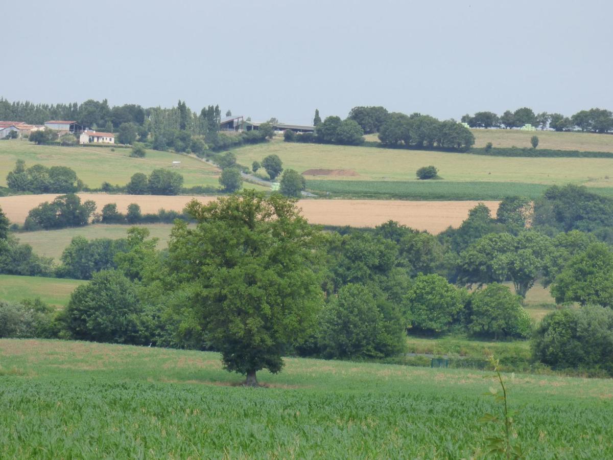 Paysage naturel près de l'hôtel