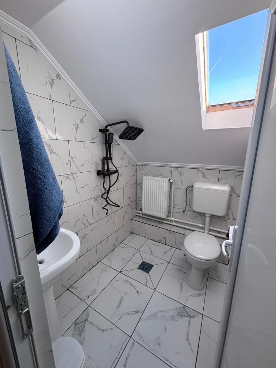 Casa Denisa Vidraru transfgarasan - Housity