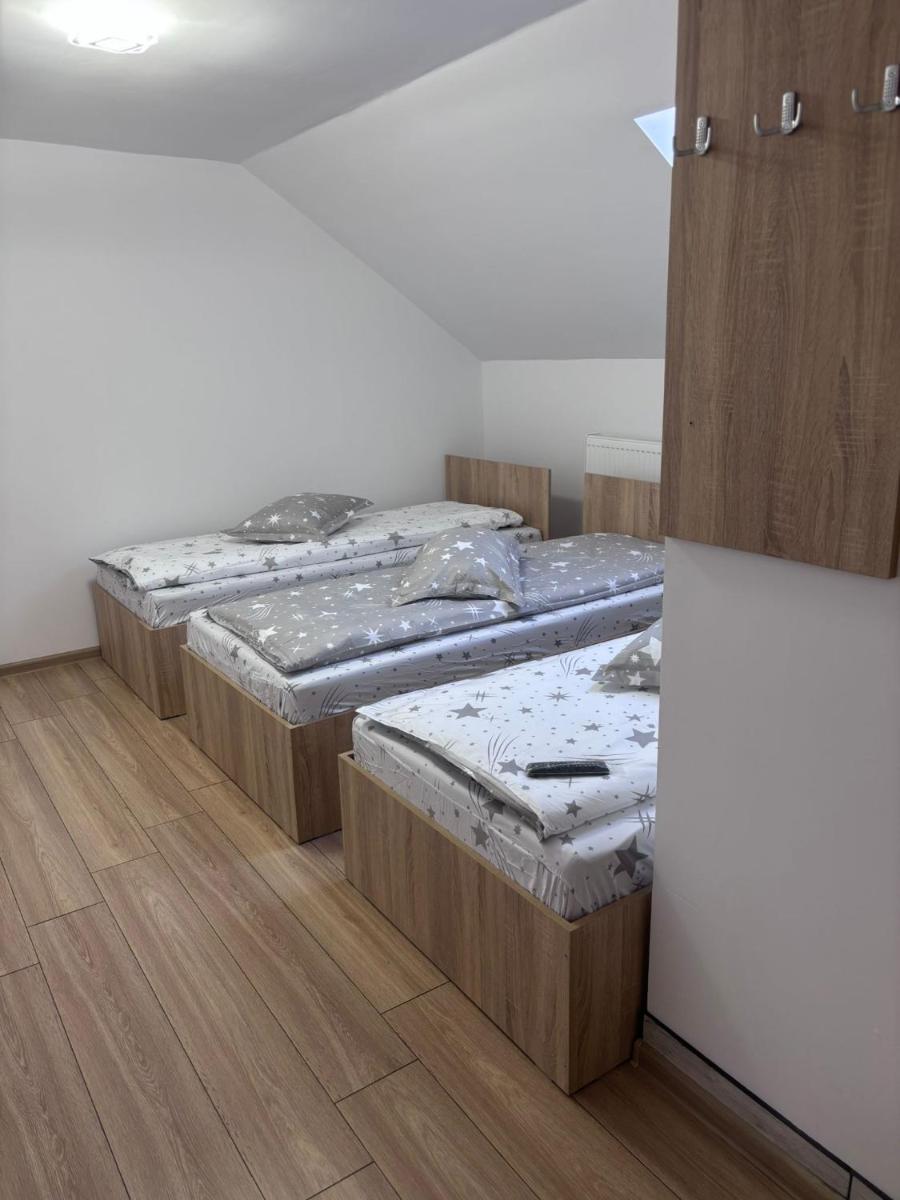 Casa Denisa Vidraru transfgarasan - Housity