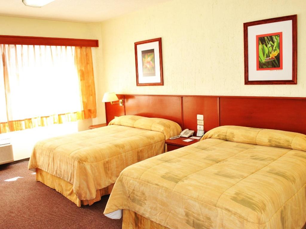 Suitetrails - Hotel Marcella Clase Ejecutiva