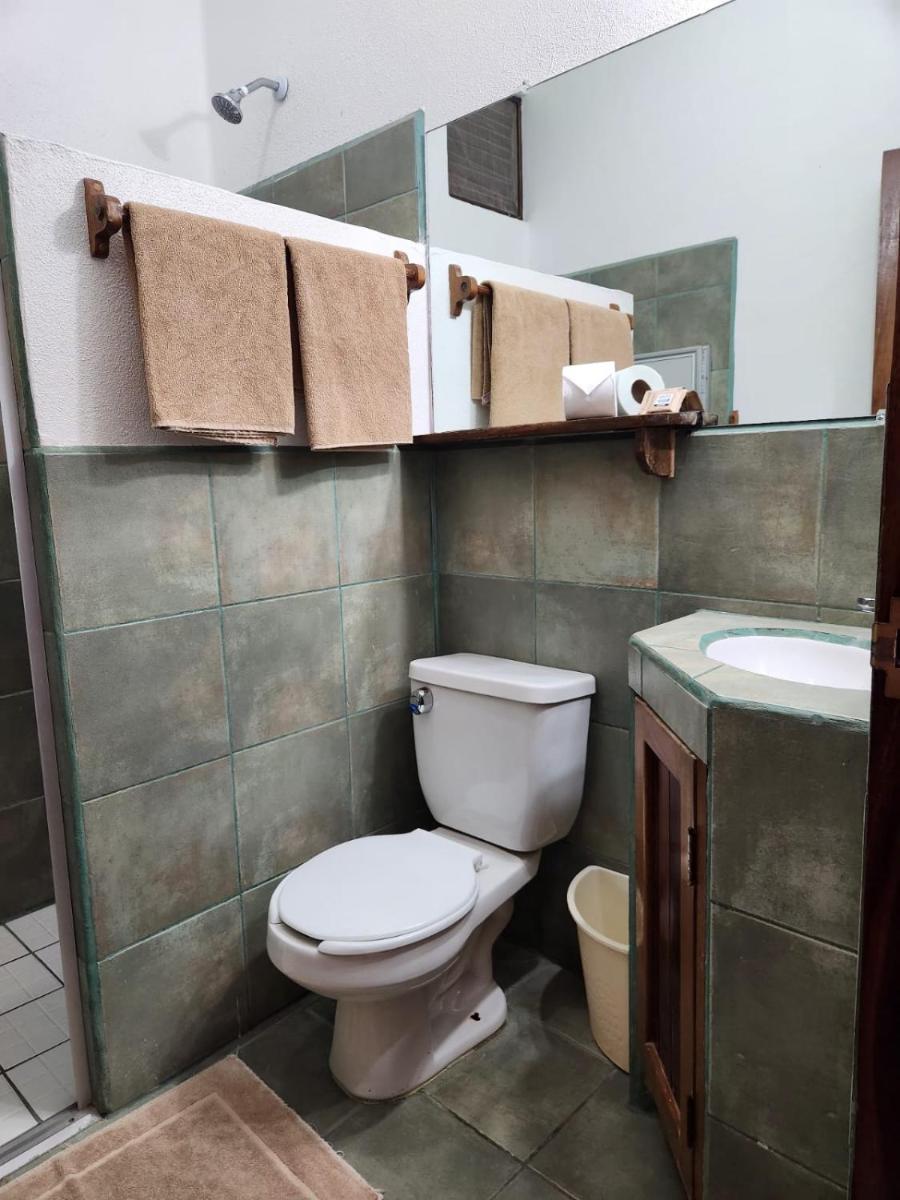 Hotel Buena Vista - Housity