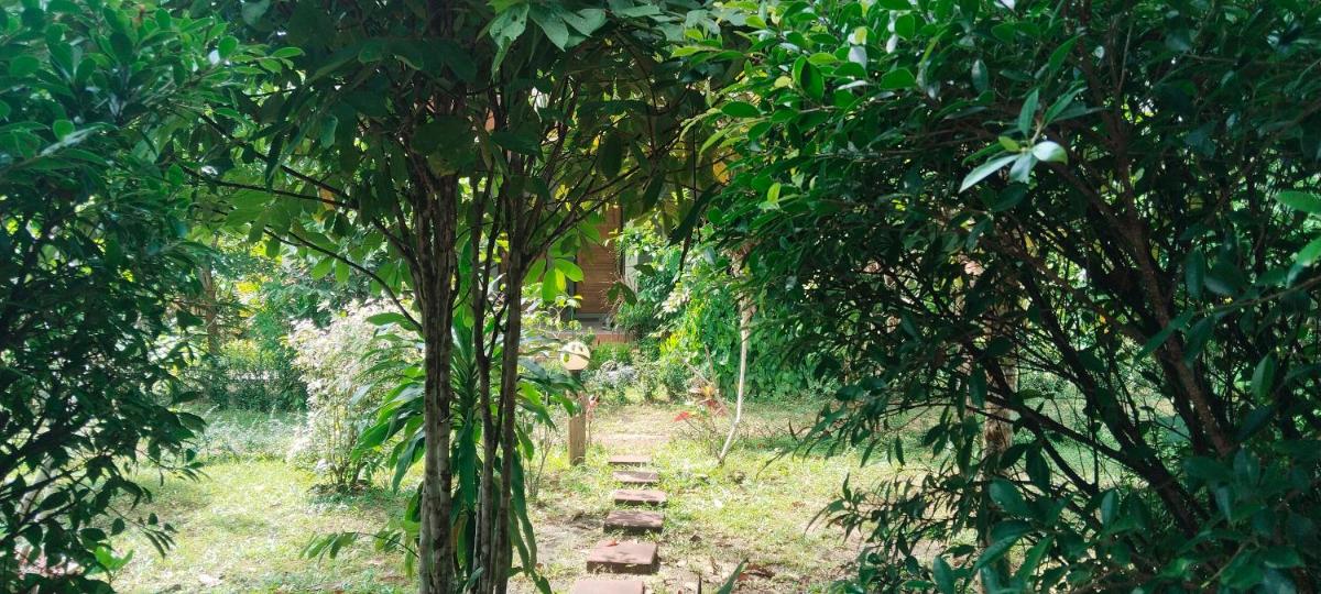 Mada Lanta Mai Keaw - Housity